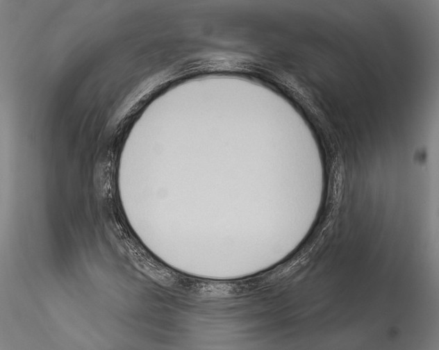 X0000114531211200911301131