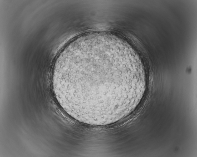 X0000114531212200911301131