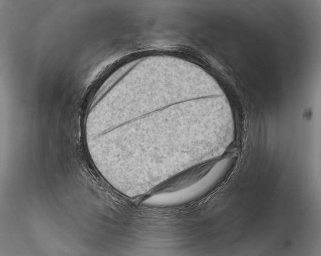 X0000114531214200911301131