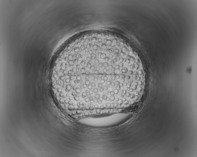 X0000114531216200911301131