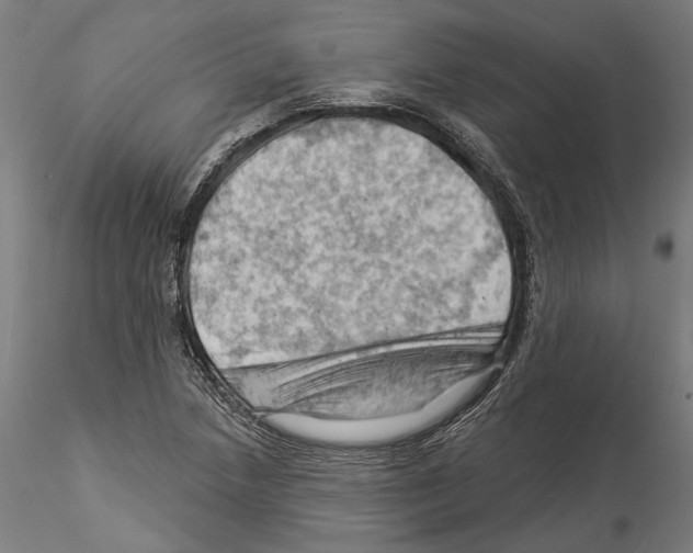 X0000114531218200911301131