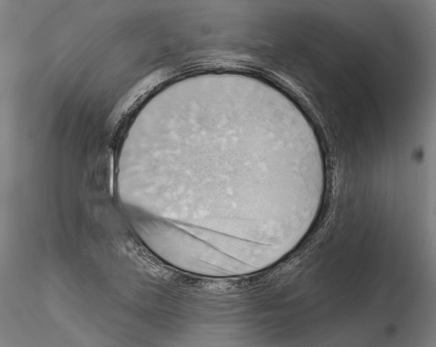 X0000114531219200911301131