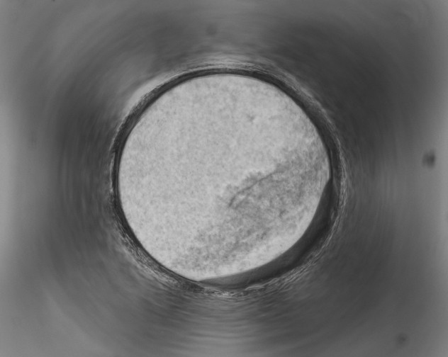 X0000114531222200911301131