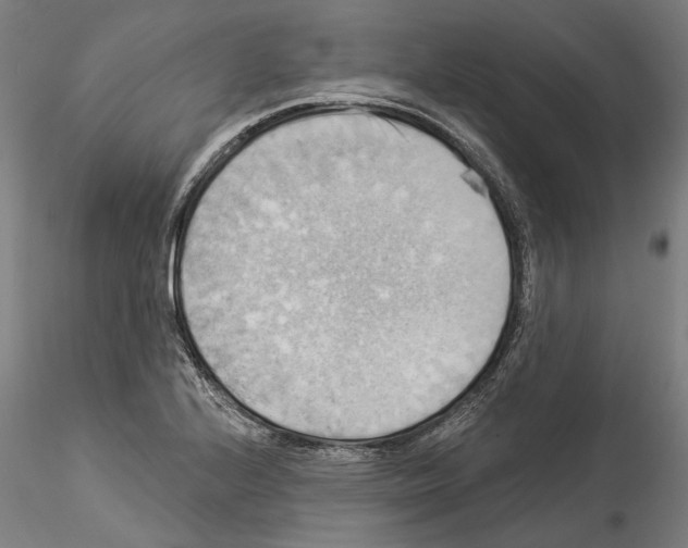 X0000114531224200911301131