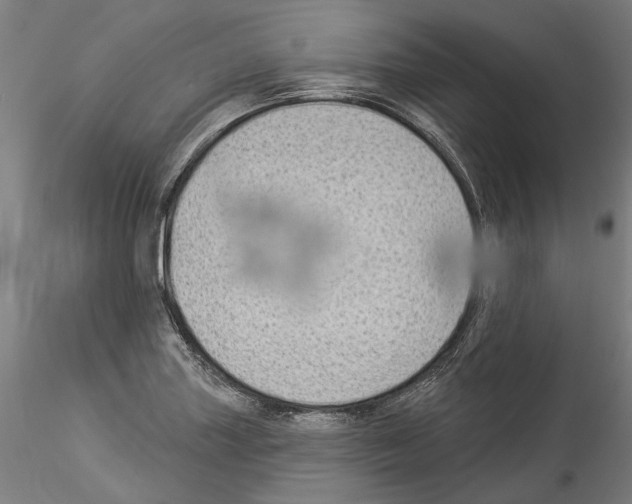 X0000114531227200911301131