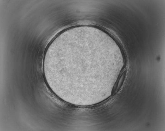 X0000114531228200911301131