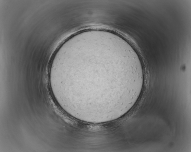 X0000114531231200911301131