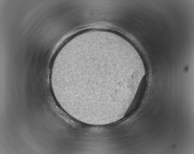 X0000114531232200911301131