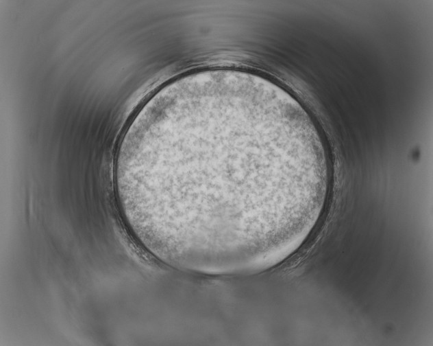 X0000114531234200911301131