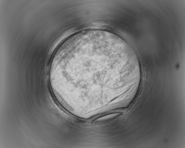 X0000114531235200911301131