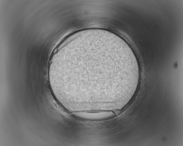 X0000114531236200911301131