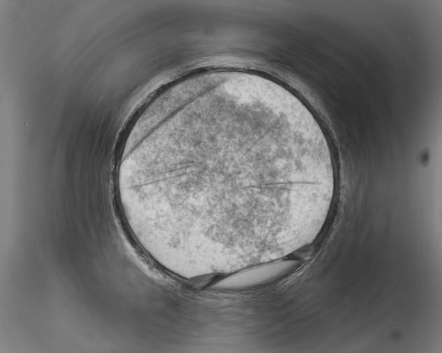 X0000114531237200911301131