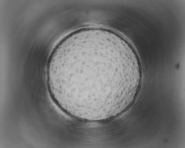 X0000114531239200911301131