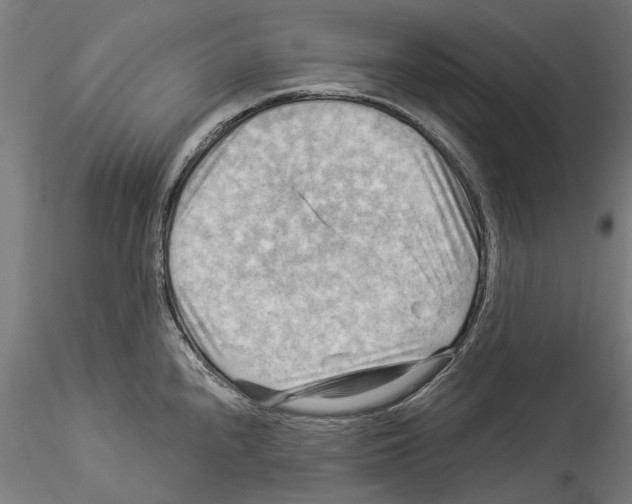 X0000114531240200911301131