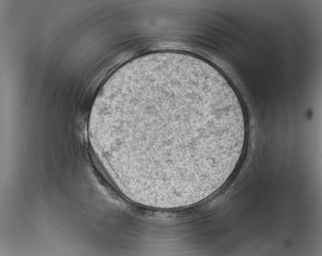 X0000114531241200911301131