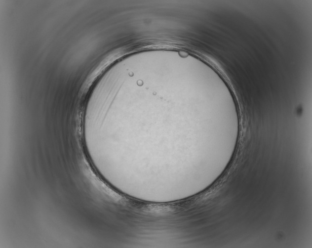 X0000114531243200911301131