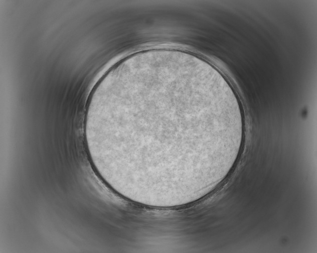 X0000114531244200911301131