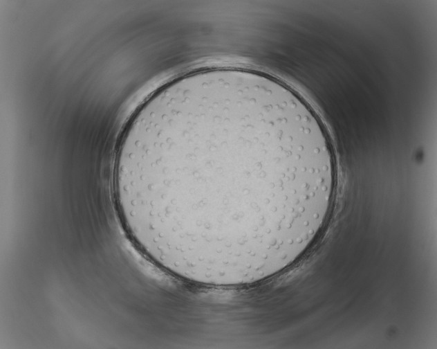 X0000114531245200911301131