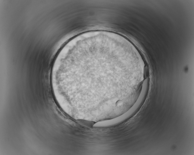 X0000114531246200911301131