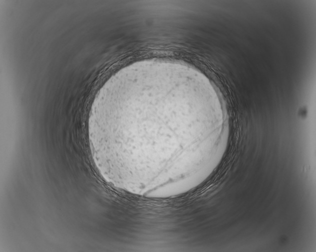 X0000114531249200911301131