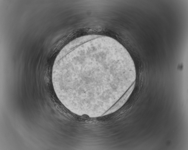 X0000114531250200911301131