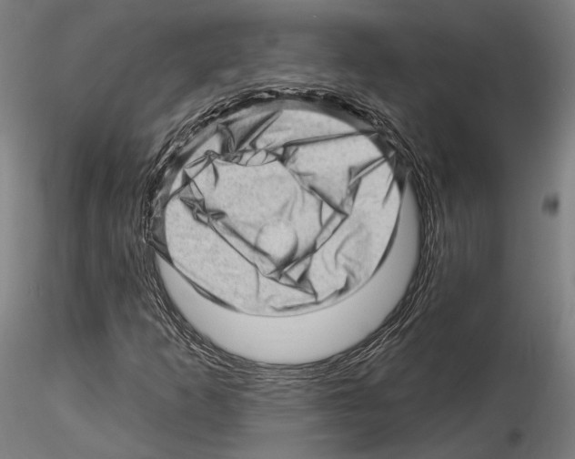 X0000114531253200911301131