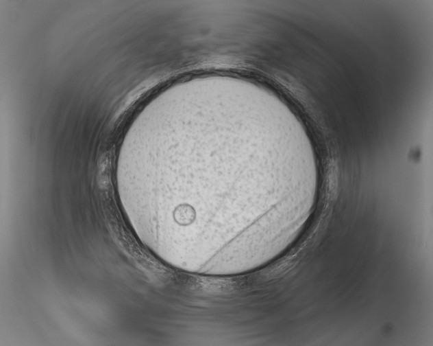 X0000114531258200911301130