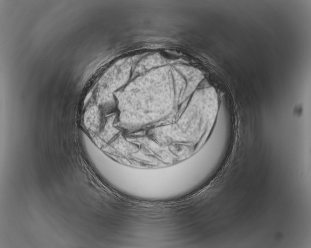 X0000114531261200911301130