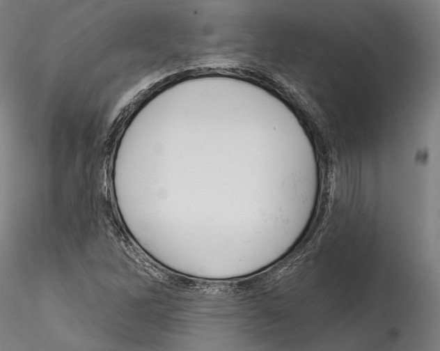 X0000114531262200911301130