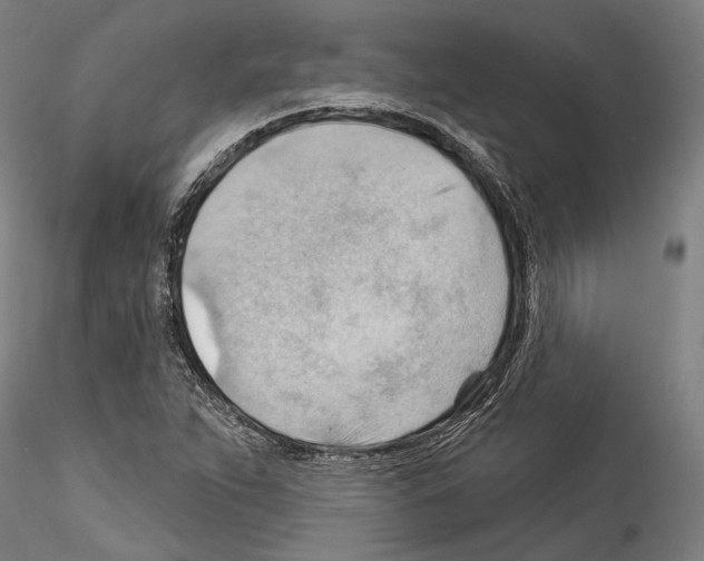 X0000114531263200911301130