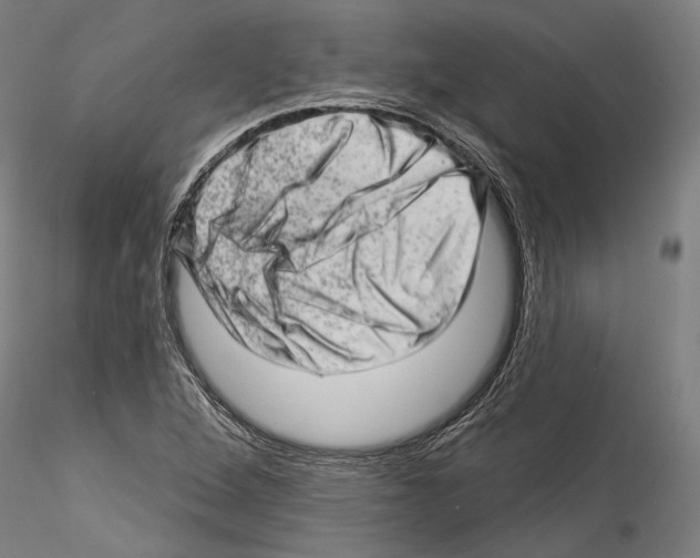 X0000114531264200911301130