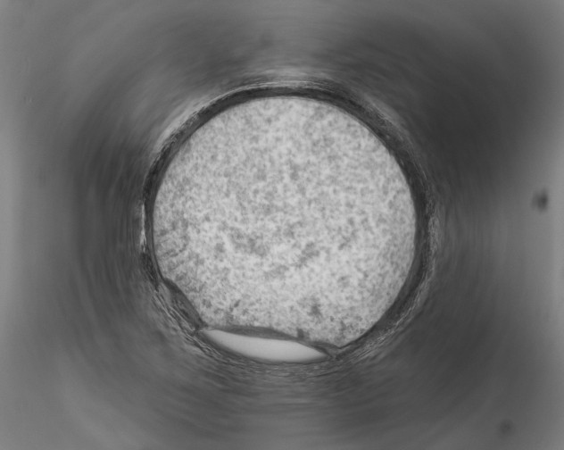 X0000114531267200911301130