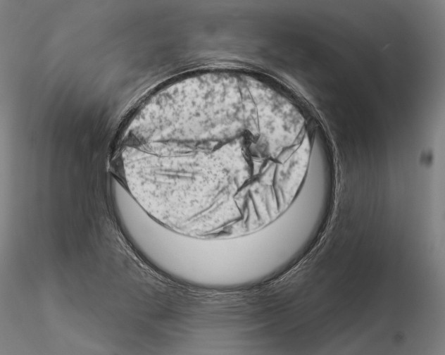 X0000114531269200911301130