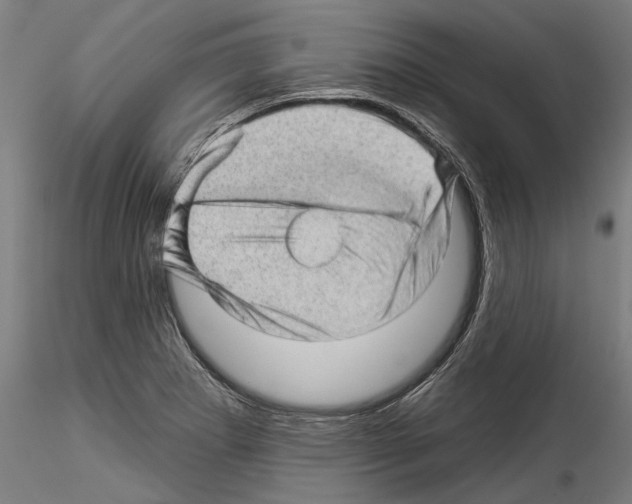 X0000114531273200911301130