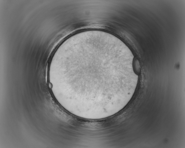 X0000114531276200911301130