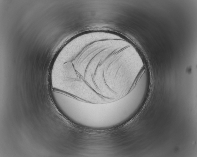 X0000114531277200911301130