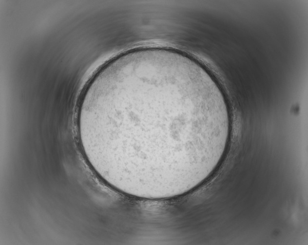 X0000114531278200911301130