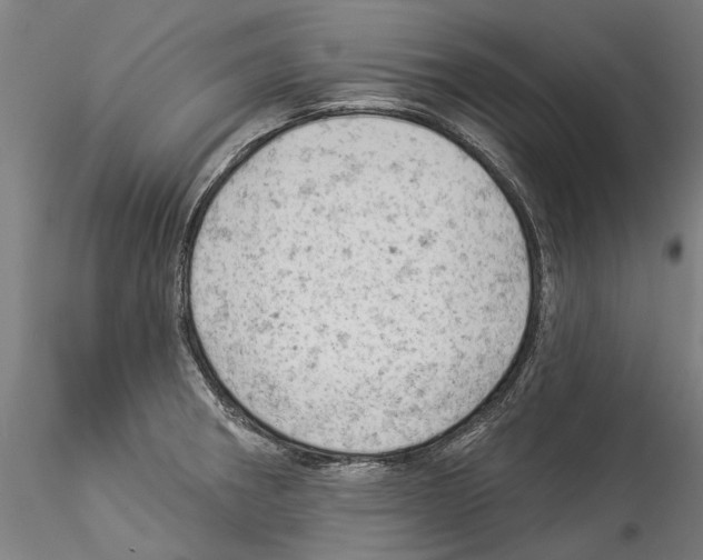 X0000114531282200911301130