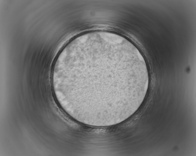 X0000114531283200911301130