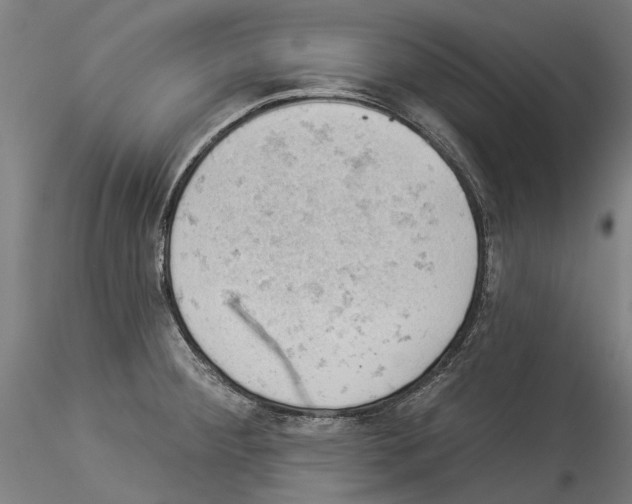 X0000114531284200911301130