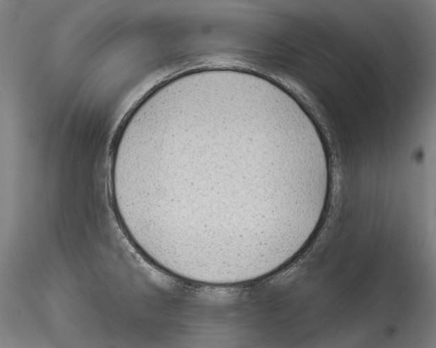 X0000114531286200911301130