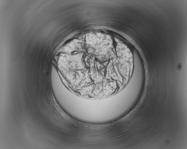 X0000114531289200911301130