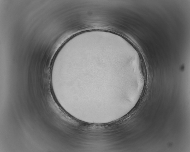 X0000114531291200911301130