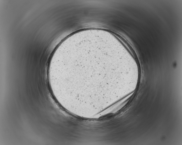 X0000114531293200911301130