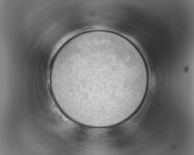 X0000114531294200911301130