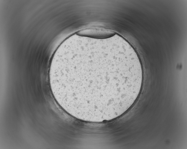 X0000114531296200911301130