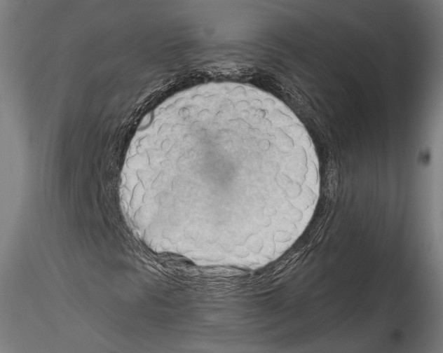 X0000114531297200911301129