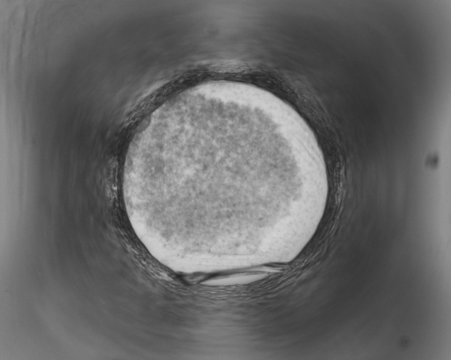 X0000114531301200911301129