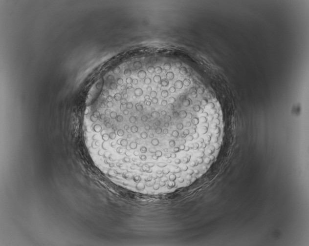 X0000114531302200911301129