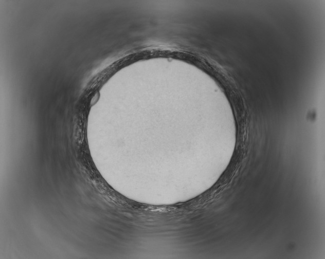 X0000114531303200911301129